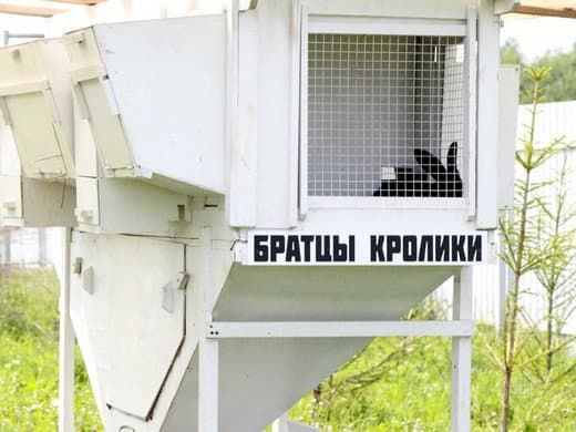 «За Можай по доброй воле!»: Верея — Можайск — Тушков городок, кадр 3