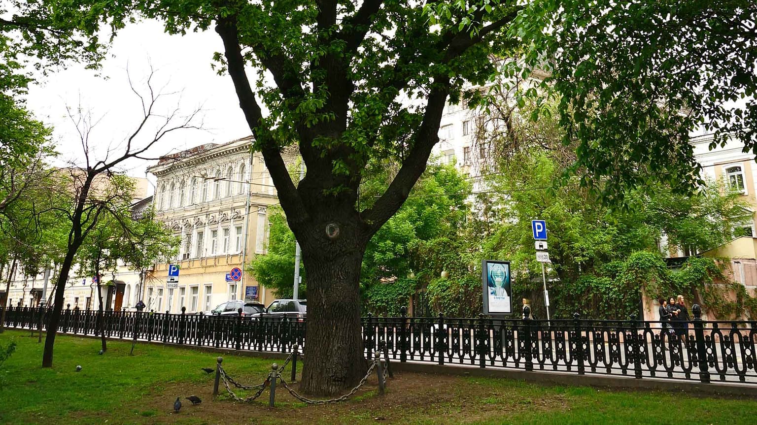 Тверской бульвар: истории главной аллеи Москвы, кадр 5