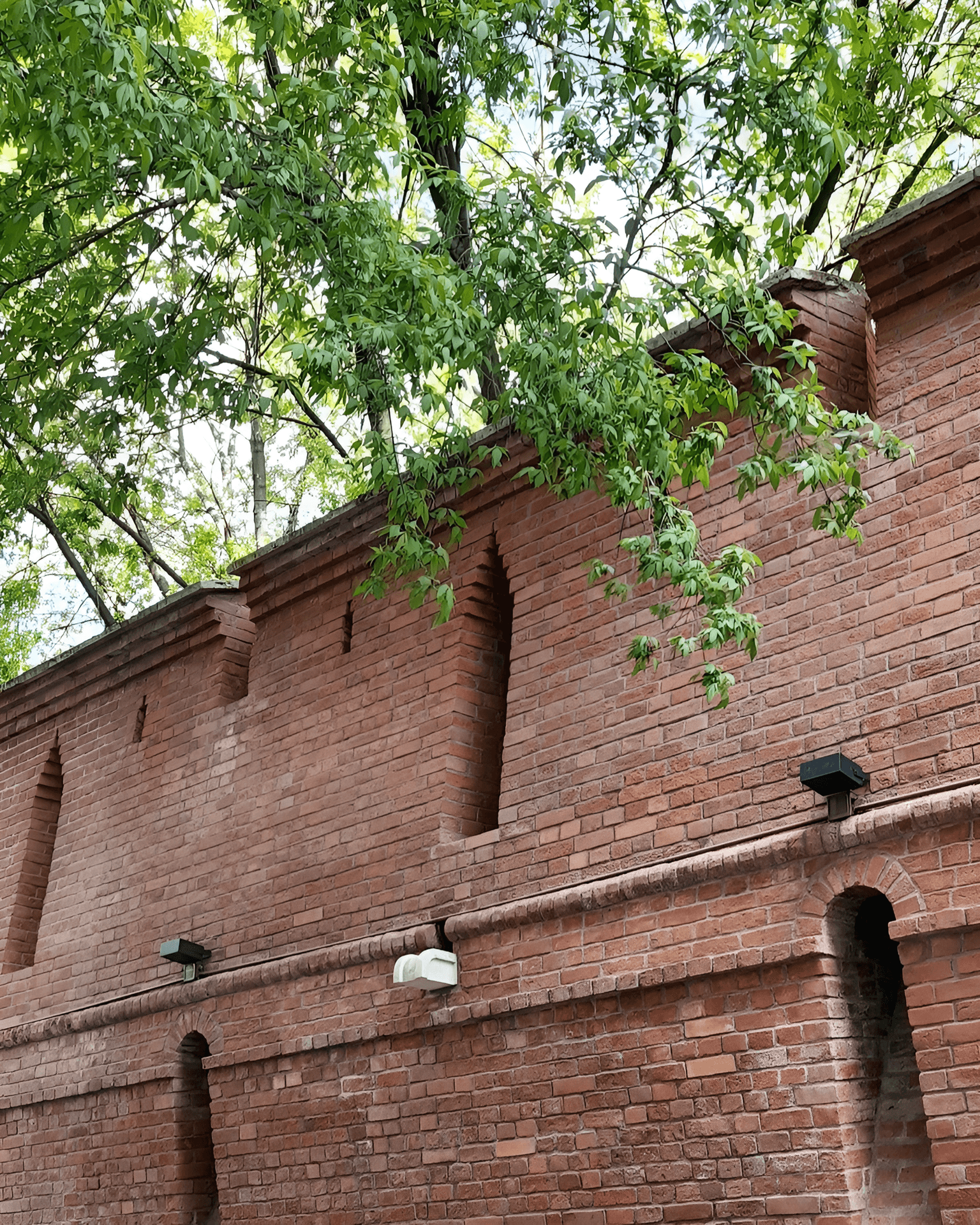 Прогулка по следам московских красавиц, кадр 4