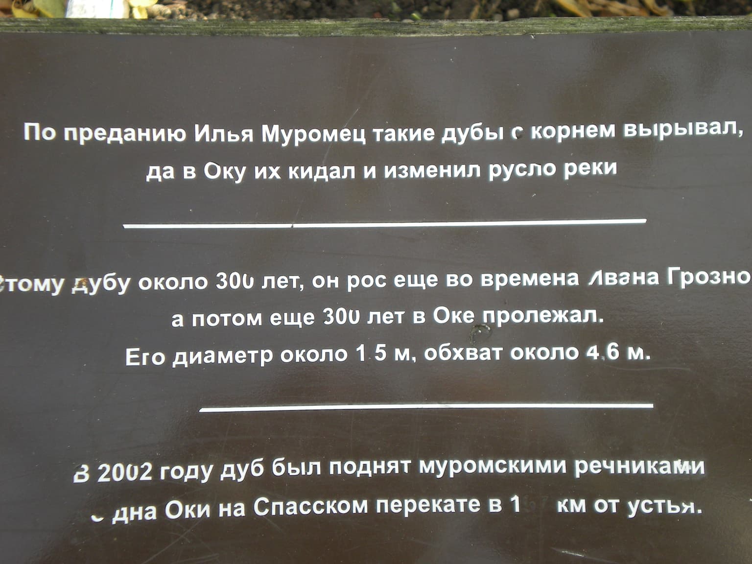 Из Москвы в Муром с психологом: 2-дневная поездка, кадр 2