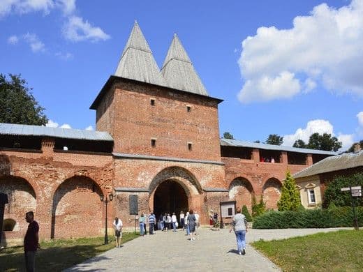 «Городок за раем»: Зарайск — Даровое, кадр 4