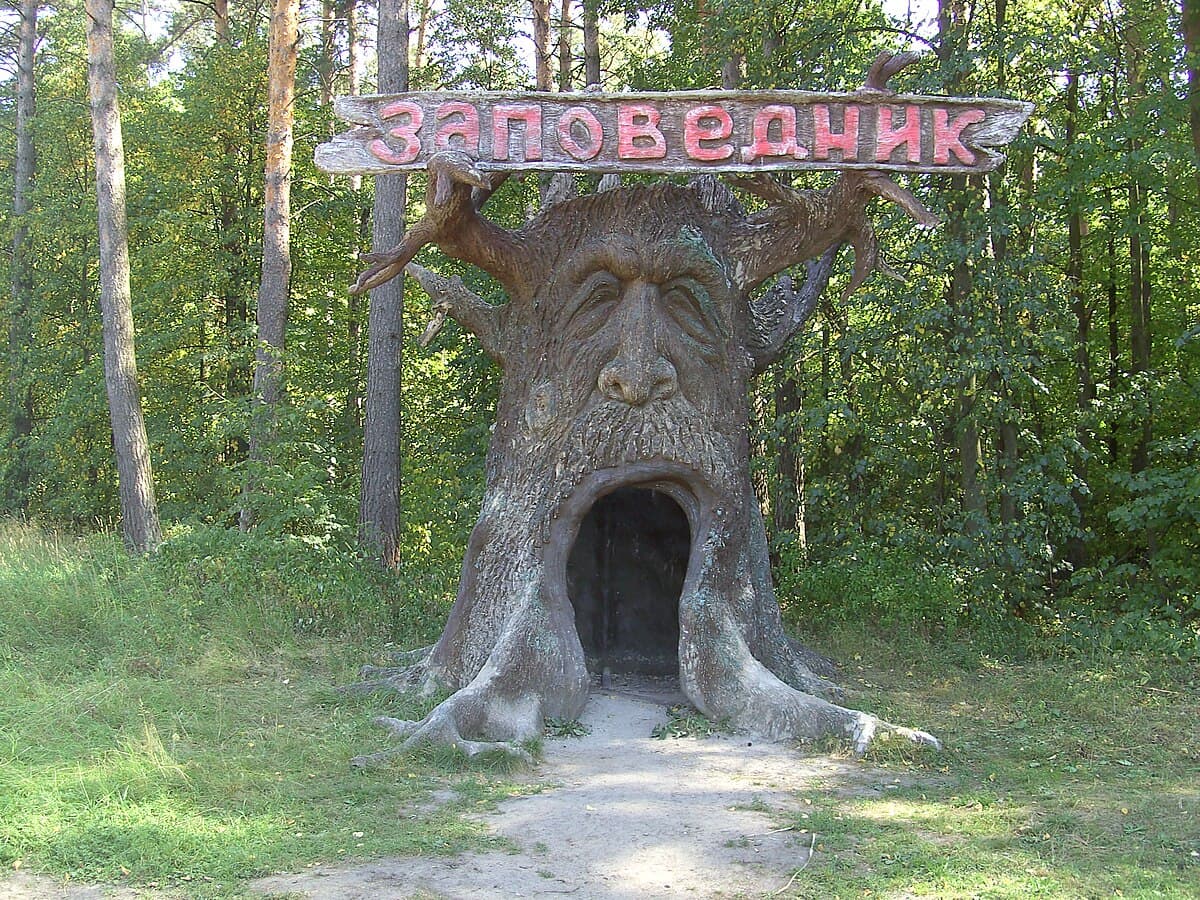 От зубров к страусам: день среди больших животных