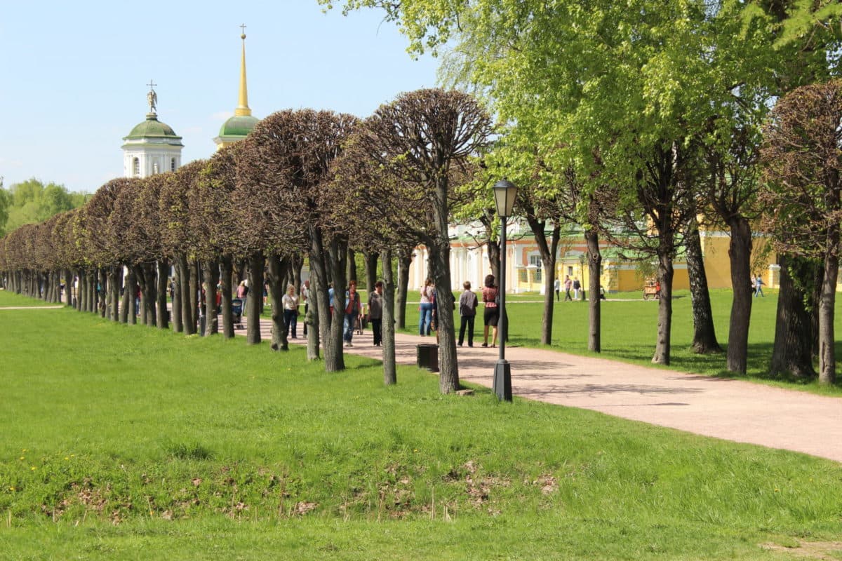 Есть в графском парке старый пруд: как попасть в усадьбу Кусково бесплатно