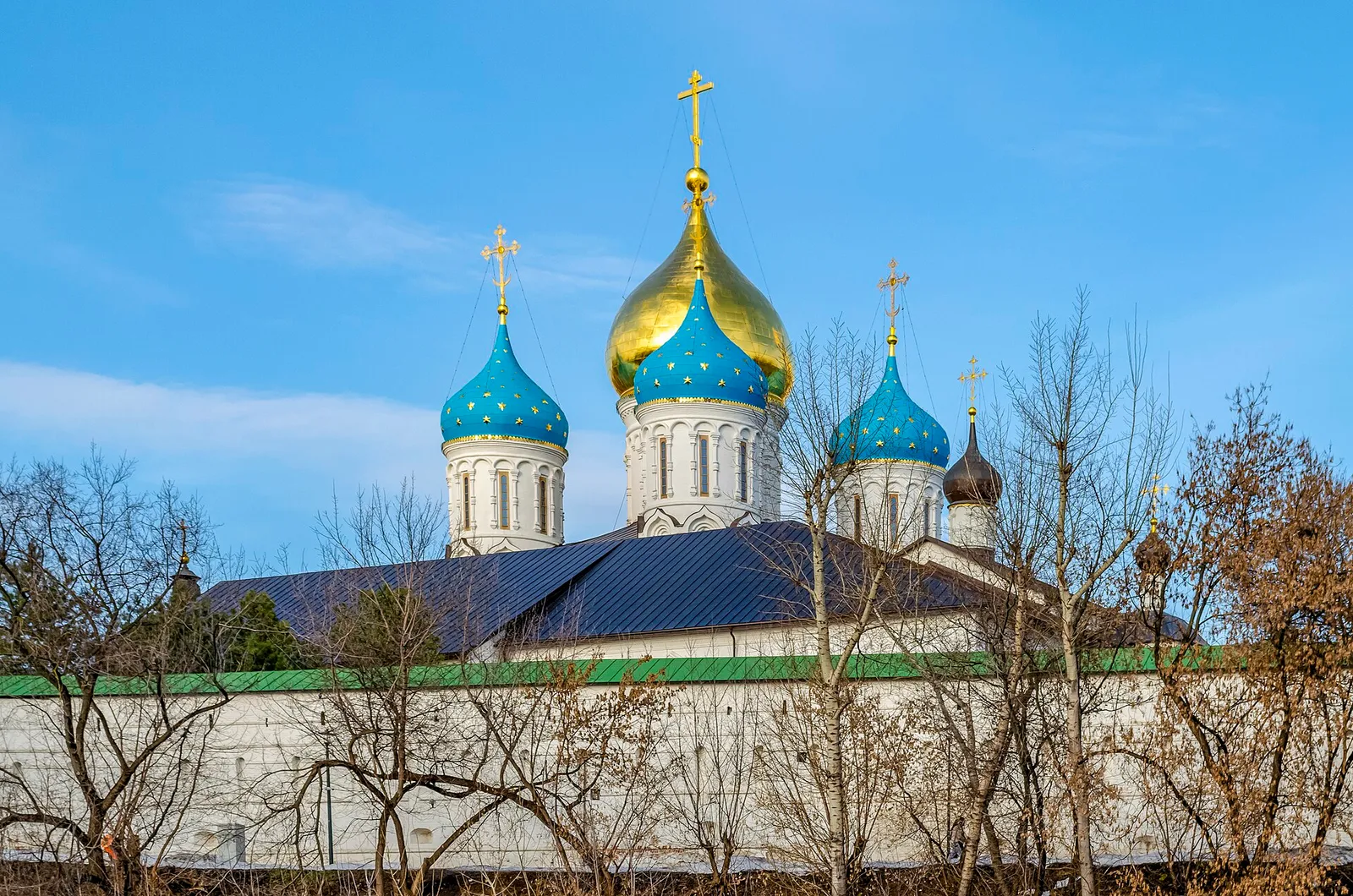 Купола Новоспасского монастыря над монастырской стеной